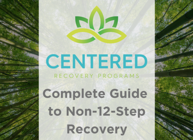 Complete Guide to Non 12 Step Recovery Georgia